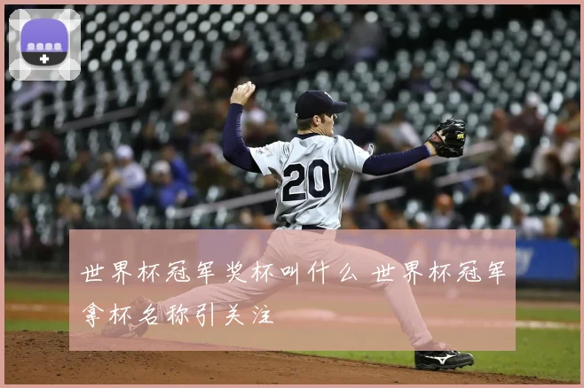 世界杯冠军奖杯叫什么 世界杯冠军拿杯名称引关注